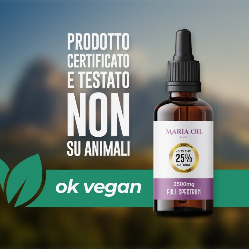 Huile de CBD 25% (2500mg) Spectre Complet – Image 4