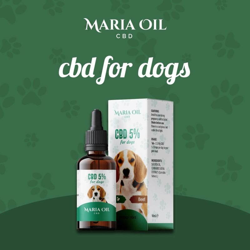 Huile CBD 5% pour Chiens – Image 2