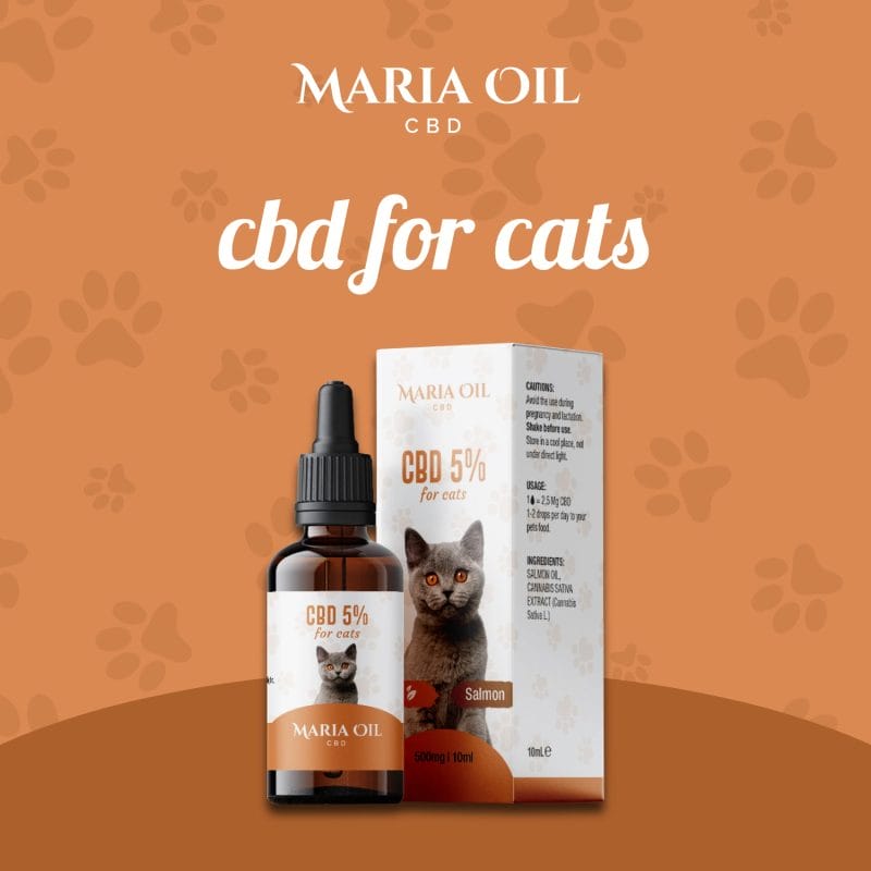 Huile CBD 5% pour Chats – Image 2