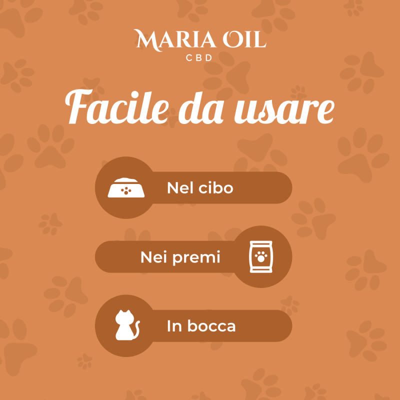 Huile CBD 5% pour Chats – Image 3