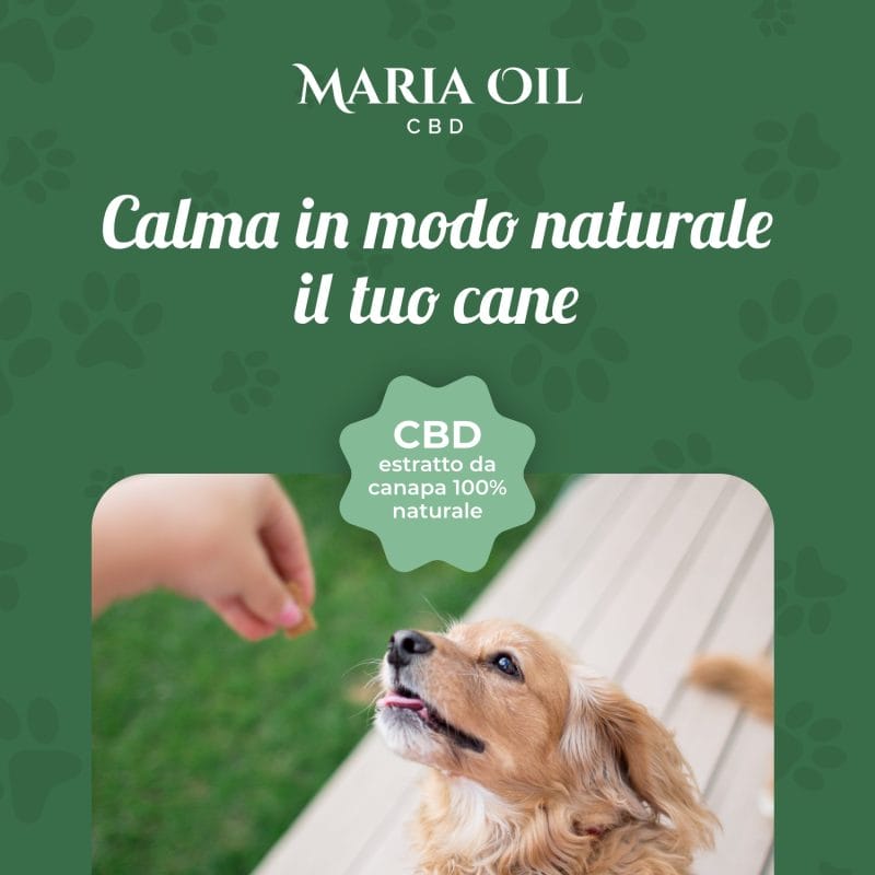 Croquettes CBD pour chiens avec du Boeuf et du Porc – Image 3