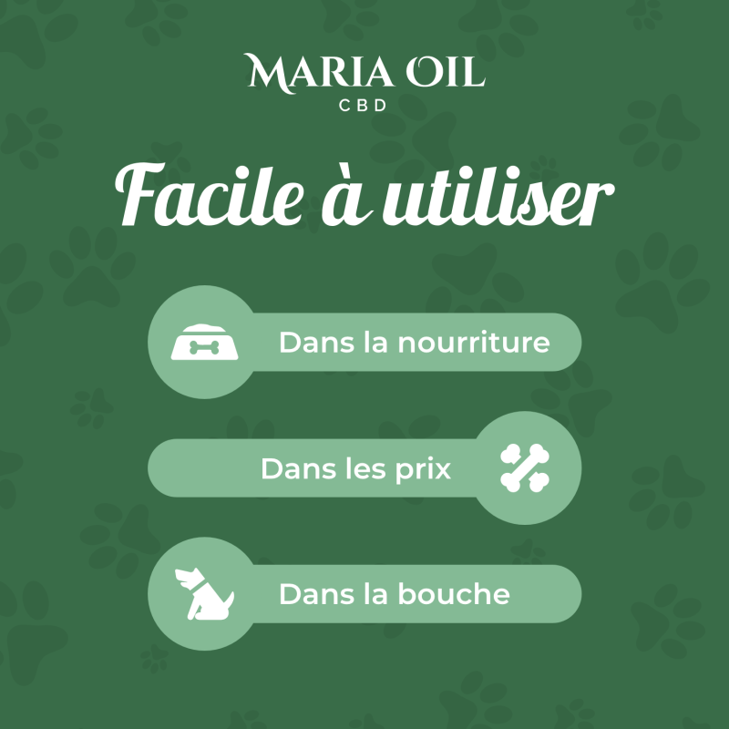 Huile CBD 5% pour Chiens – Image 3