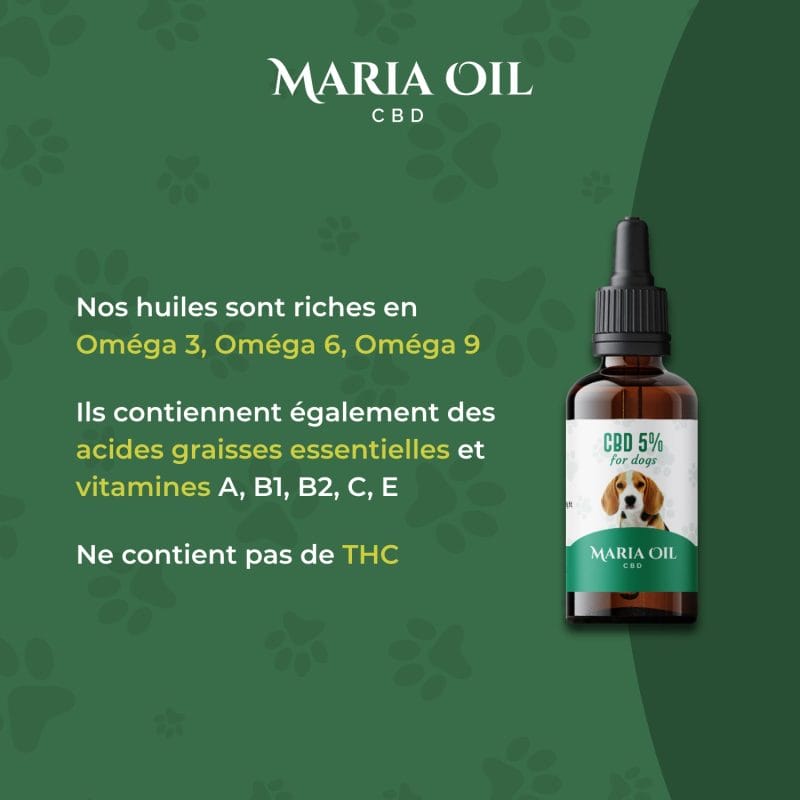 Huile CBD 5% pour Chiens – Image 4