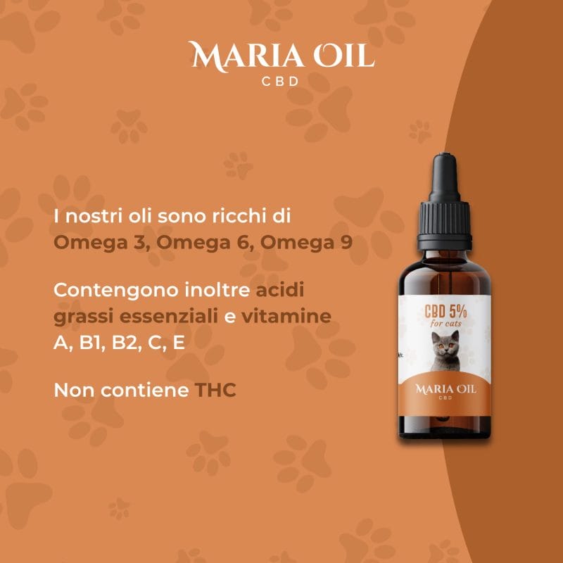 Huile CBD 5% pour Chats – Image 4