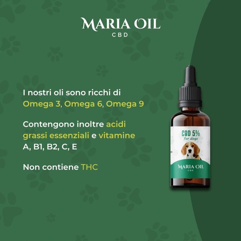Huile CBD 5% pour Chiens – Image 4
