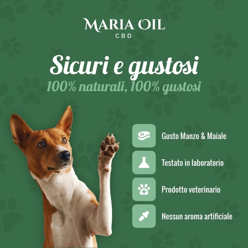 Croquettes CBD pour chiens avec du Boeuf et du Porc – Image 5