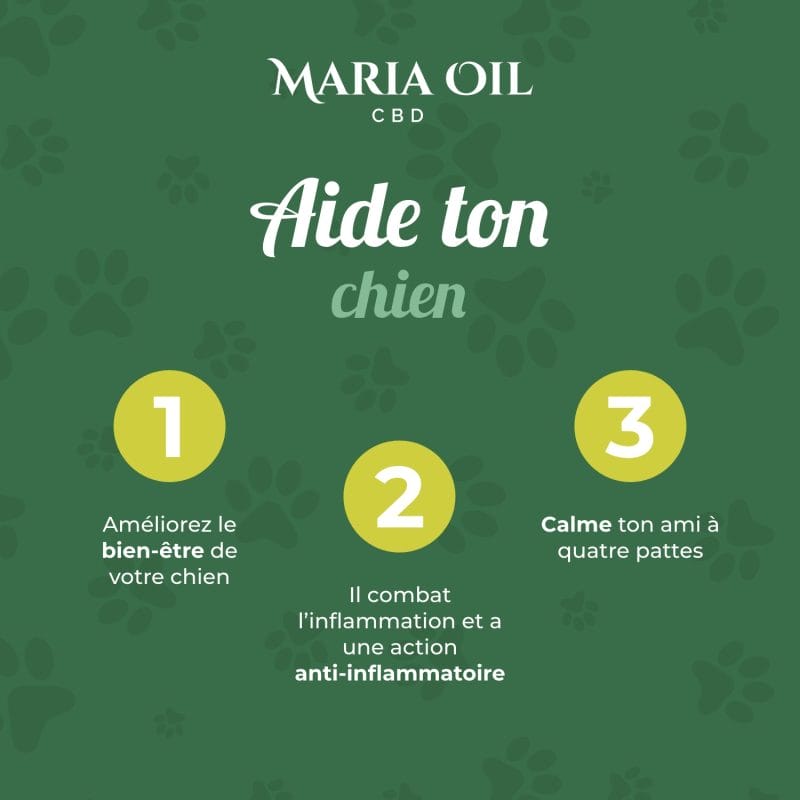 Huile CBD 5% pour Chiens – Image 6