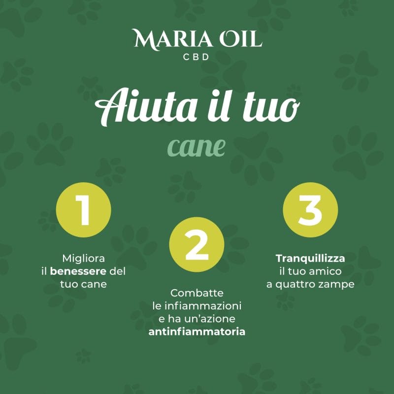 Huile CBD 5% pour Chiens – Image 6