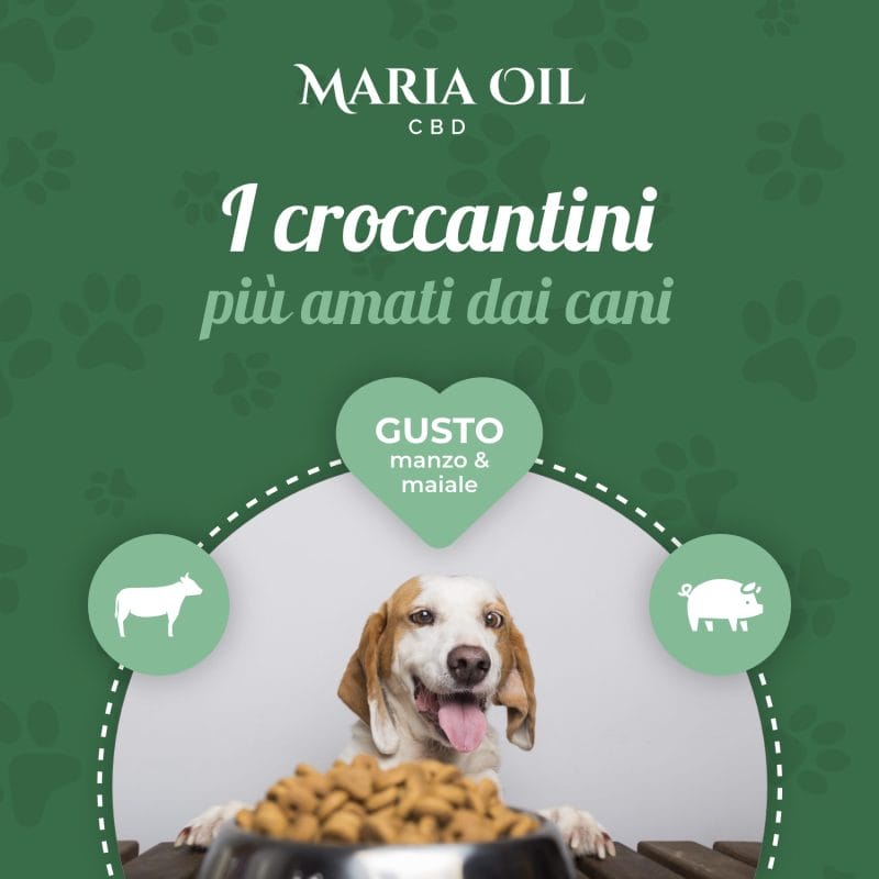 Croquettes CBD pour chiens avec du Boeuf et du Porc – Image 6