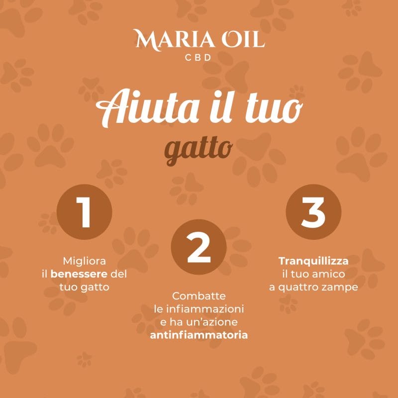 Huile CBD 5% pour Chats – Image 6
