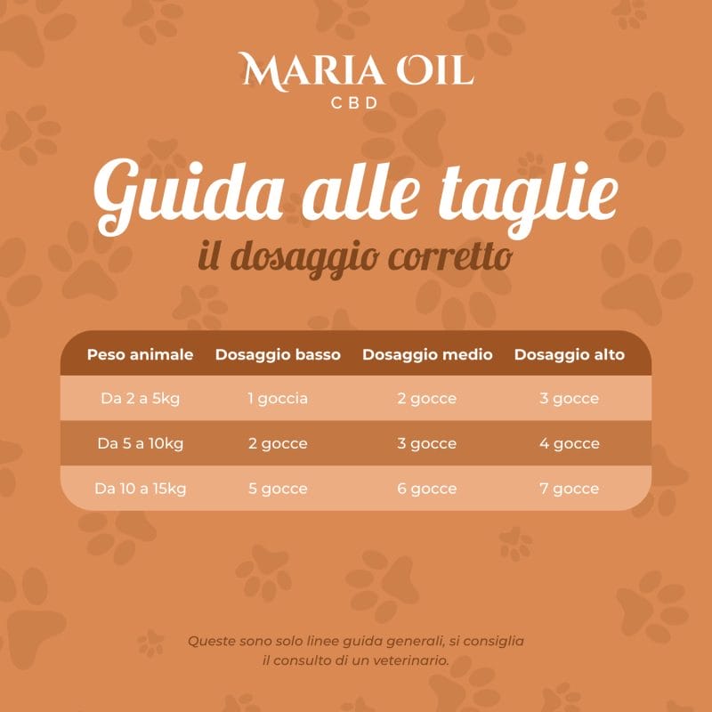 Huile CBD 5% pour Chats – Image 7