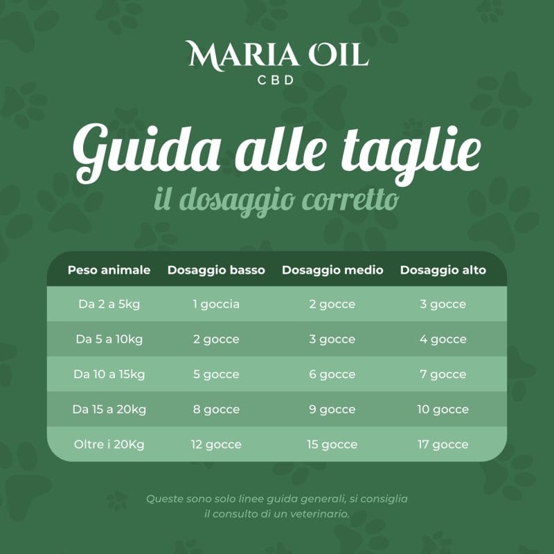 Huile CBD 5% pour Chiens – Image 7