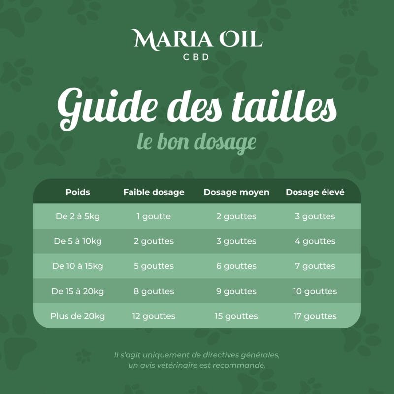 Huile CBD 5% pour Chiens – Image 7