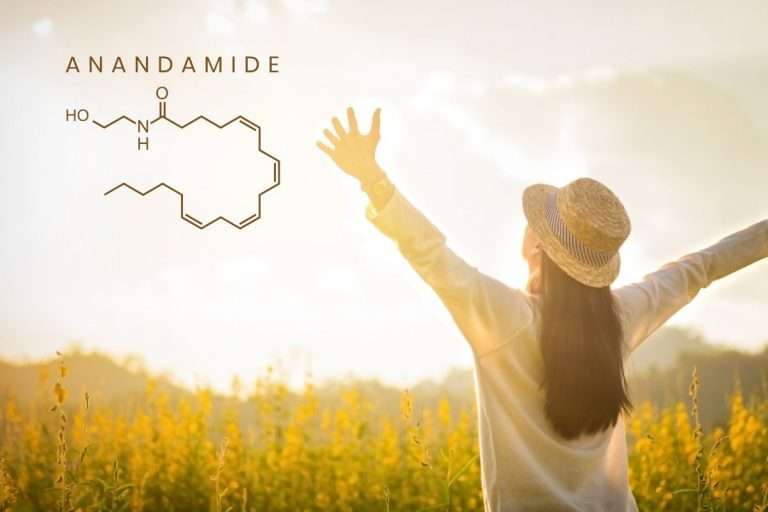 anandamide