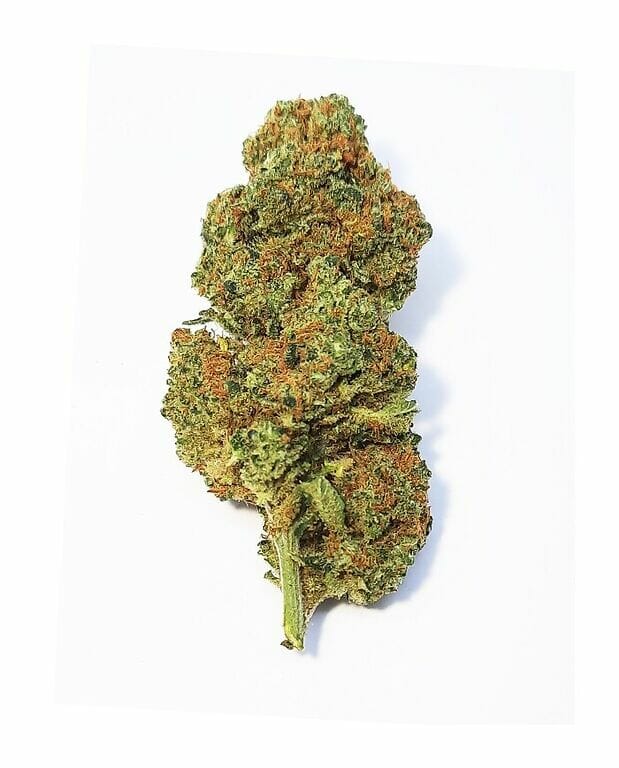 Lampe à cannabis Orange BUD | Cannabis Light