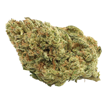 Erba Legale e Cannabis Light