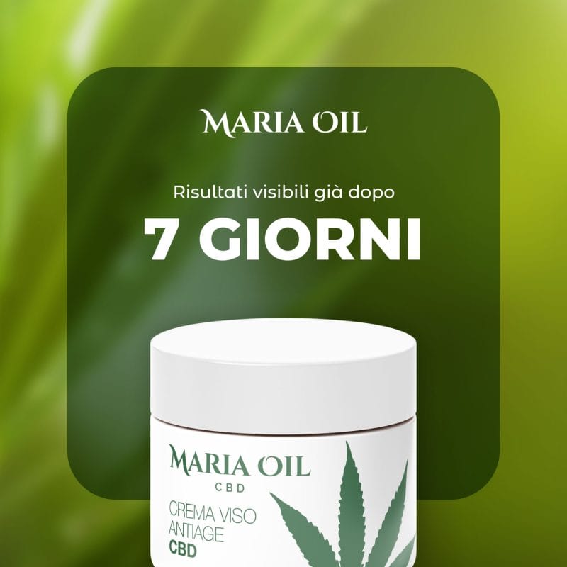 CBD Crème anti-âge pour le visage – Image 4