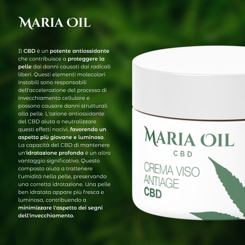 CBD Crème anti-âge pour le visage – Image 5