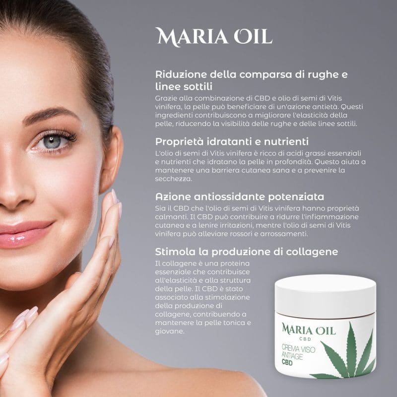 CBD Crème anti-âge pour le visage – Image 6
