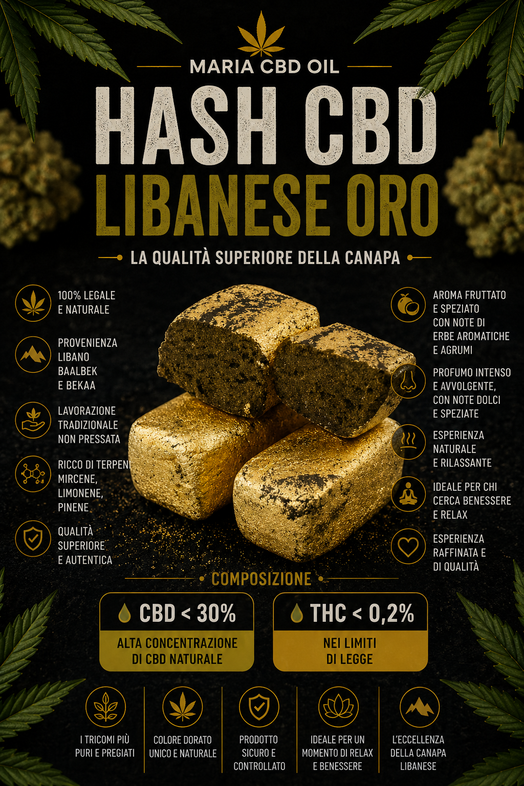 Libanaise Or (Édition Limitée) | Haschisch Légal – Image 2