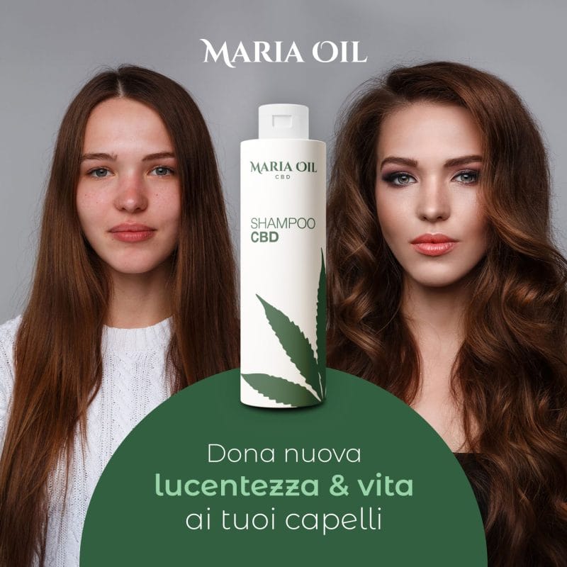 Shampooing CBD – Image 3
