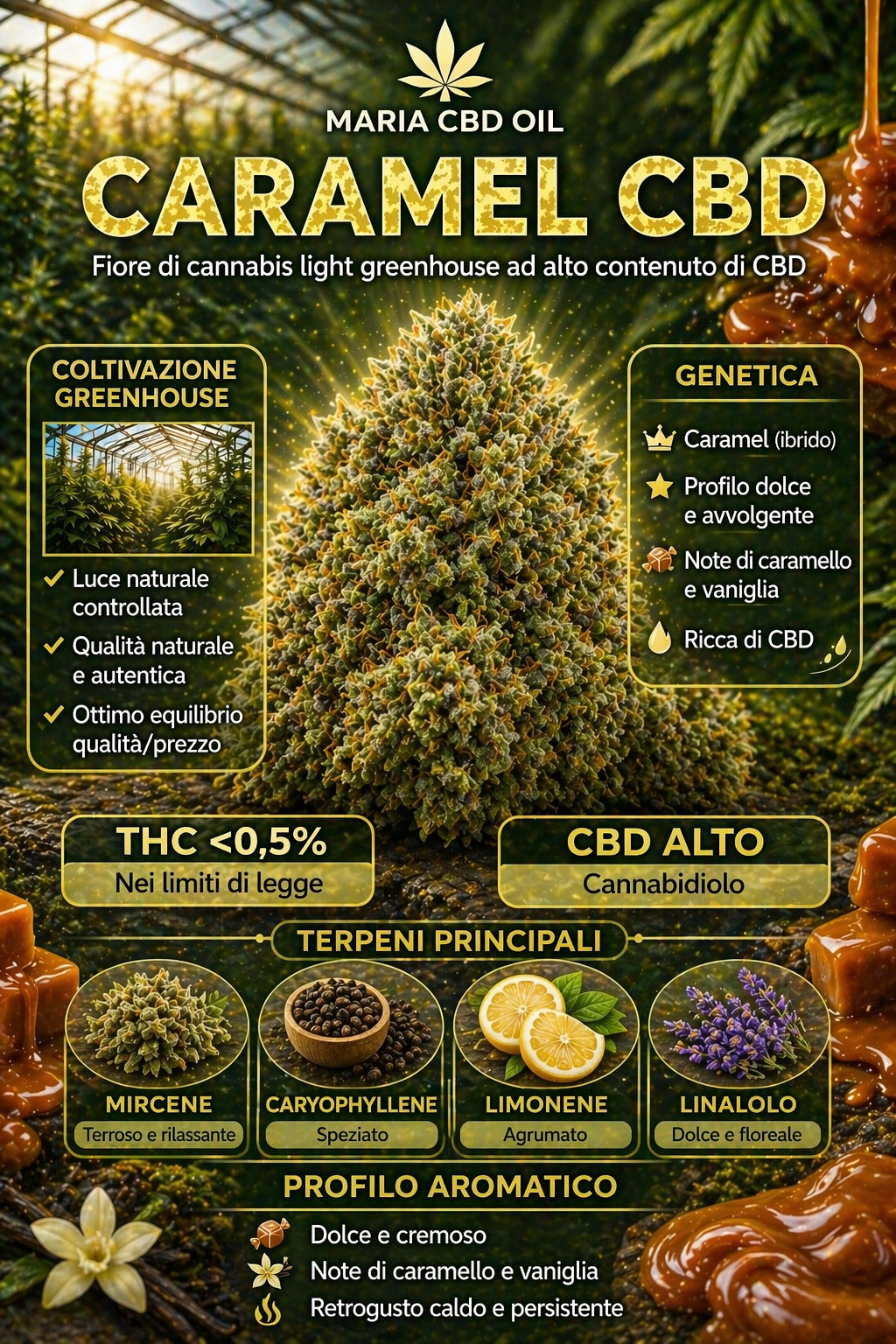 Caramel Candy CBD