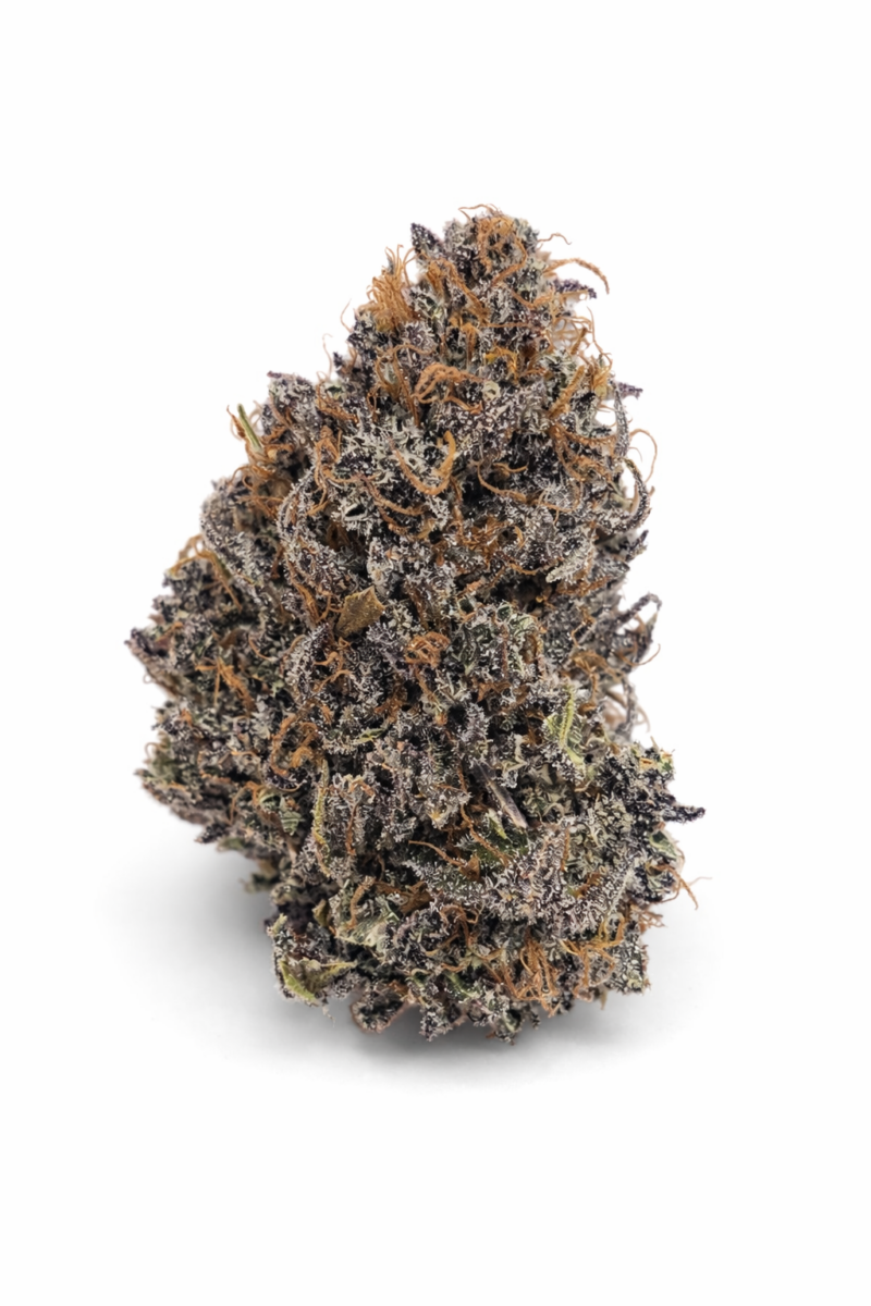 Orange Hydroponie indoor
